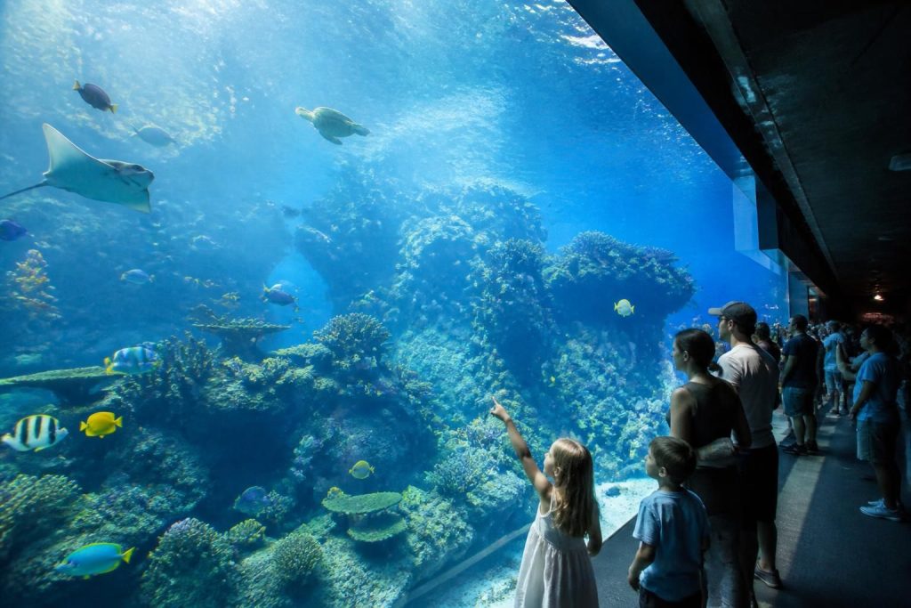 plongez dans l'aquarium de grenoble et explorez un univers sous-marin fascinant pour toute la famille. une expérience inoubliable entre découvertes et émerveillement.